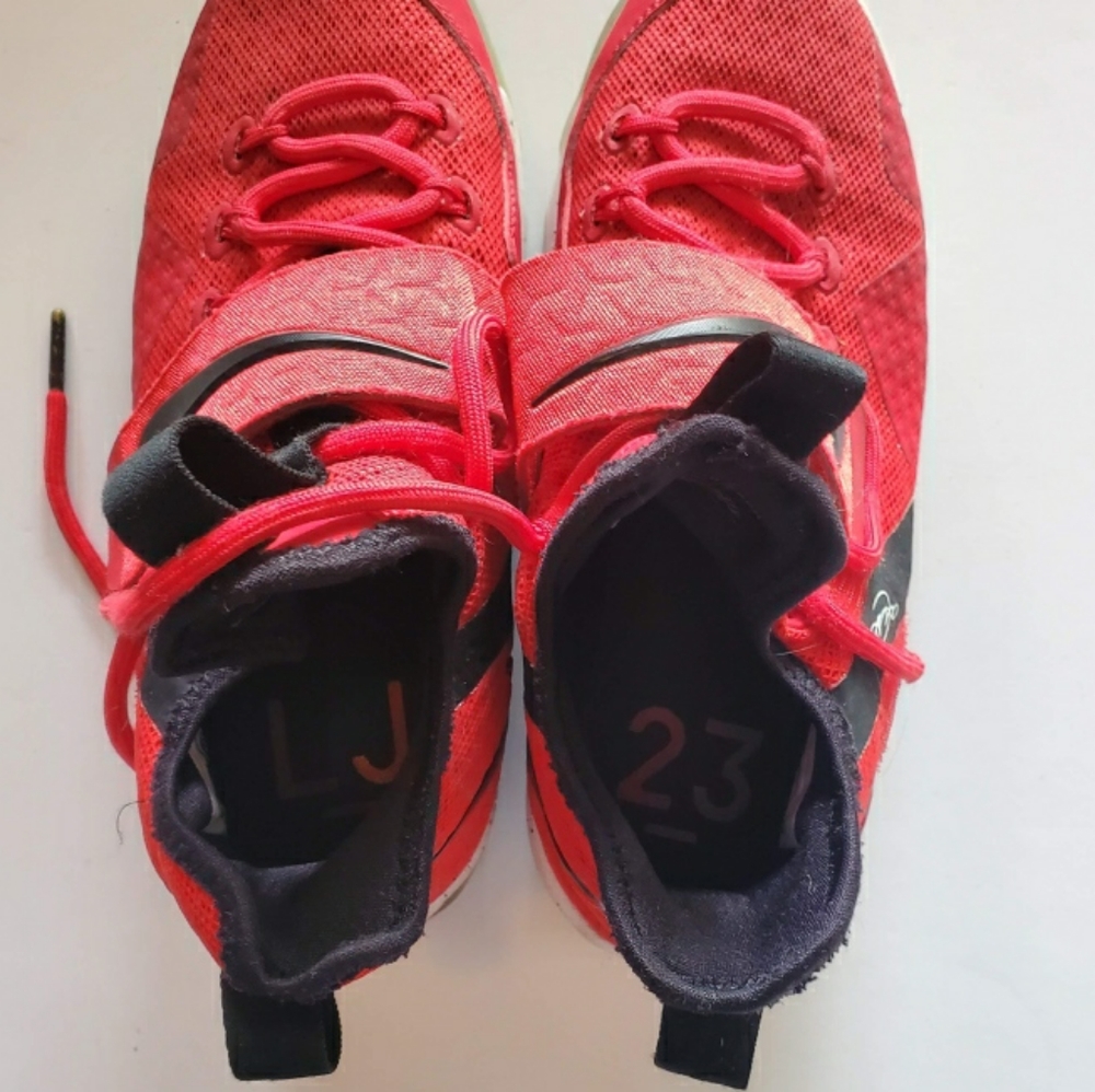 Nike LEBRON JAMES sneakers